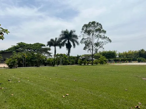 Cañasgordas, 50.000 M2, Finca En Venta