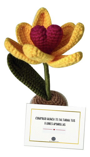 Amigurumi Flores Tulipán Planta Tejido A Mano A Crochet