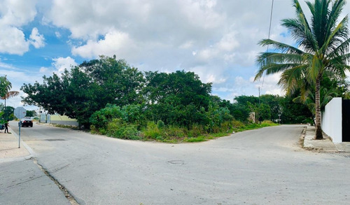 Terreno En Esquina En Venta A 50 Metros Del Arco Vial Por Centro Maya En Playa Del Carmen