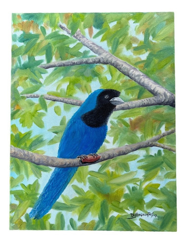 Di Magalhães Quadro Obra Pássaro Azul Ost 40x30cm Lindo