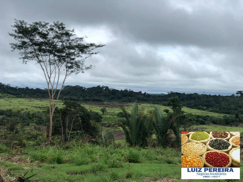 Imagem 3 de 15 de Fazenda À Venda Em Pacaja - Pa - De 1.900 Alqueires (dupla Aptidão) - 1649