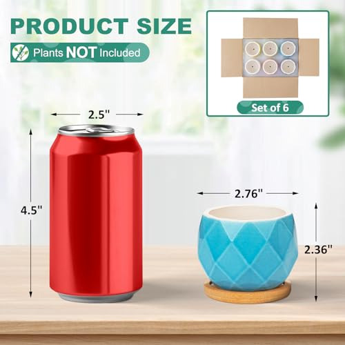 Conjunto De 6 Macetas Pequeñas Para Suculentas - Mini Maceta