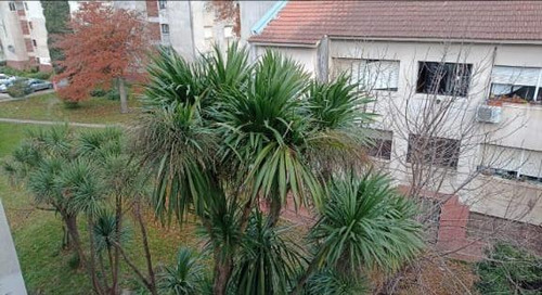 Departamento En Venta - 4 Dormitorios 1 Baño - 90mts2 - Mar Del Plata