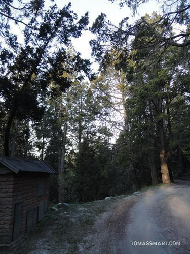 Imagen 5 de 8 de Terreno - Bariloche