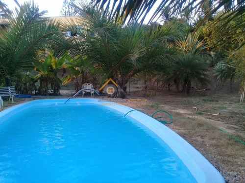 Imagem 27 de 30 de Chacara - Ch00005 - 32744029