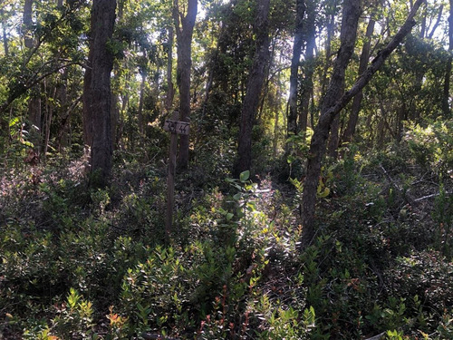 Buscas Un Estilo De Vida En ArmonÃa Con La Naturaleza?