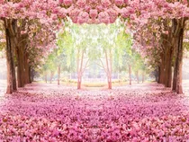 Comprar Painel Em Lona Floresta Jardim Encantado 3d Festa 3,00x1,70m Cor Colorido Personagem Jardim Encantado Espelhado