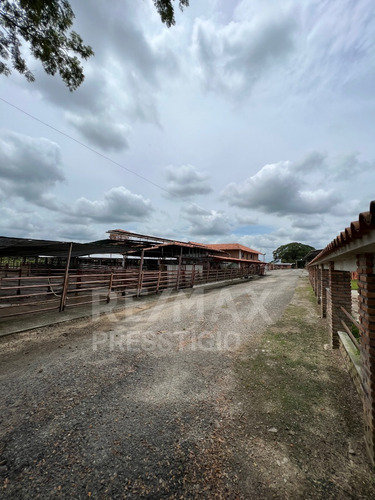 Imagen 14 de 30 de En Venta Hermosa Finca