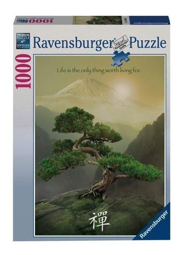 Rompecabezas Ravensburger Puzzle 1000 Piezas 19389