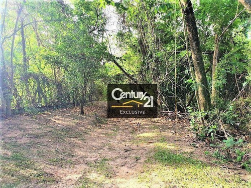 Imagem 17 de 18 de Chácara À Venda, 30000 M² Por R$ 10.500.000,00 - Parque Das Bandeiras - Indaiatuba/sp - Ch0088