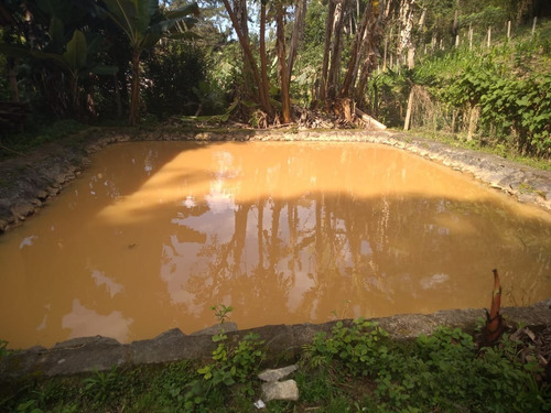 Imagem 3 de 28 de Chácara Para Moradia À Venda Em Juquitiba. - 129 - 33414991