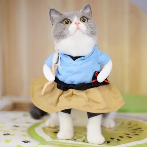 Disfraz De Gato De Poliéster Divertido De Samurái Vertical P