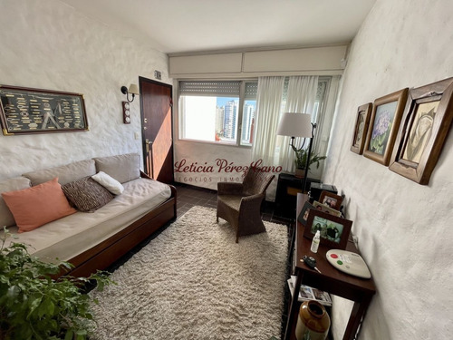 Imagen 5 de 26 de Vendo Apartamento De 1 Dormitorio Y Medio Reciclado En Playa Brava