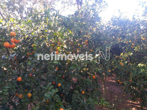 Imagem 19 de 25 de Venda Chácara Zona Rural São Sebastião - 807249