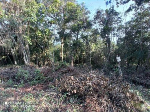 Imagem 7 de 10 de Lotes De Chácara No Bairro São Fernando, Em Itanhaém, Com 2.400 M² De Área Total, Aceita Entrada Mais Parcelas