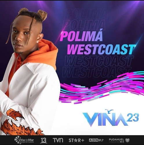 Imagen 2 de 2 de Entrada Festival De Viña 23 Febrero Platea Premium