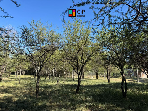 Venta De Lotes Sobre Ruta 1, Los Molles