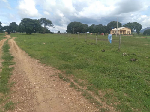 Imagem 6 de 9 de Excelente Fazenda Dupla Aptidão Município Divinopolis Goiás
