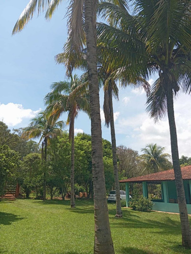 Sitio - Pereiras/sp - 12.000 Mil Metros - R$ 400.000,00