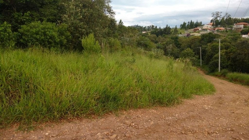Imagem 15 de 15 de Terreno Para Venda - 209270