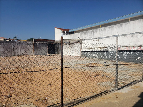 Imagem 1 de 24 de Terreno Em Avenida Comercial Jabaquara - Reo508491