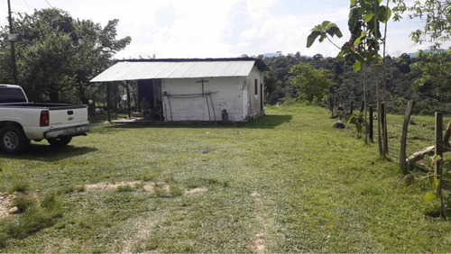 Imagen 4 de 16 de Finca Ganadera Doble Propósito Santo Domingo