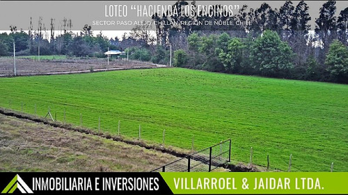 Venta De Parcela Camino A Coihueco
