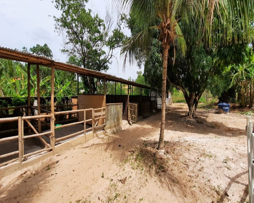 Imagem 9 de 20 de Sitio - Cp25a03 - 69286296