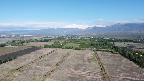 Venta Lotes Barrio Verona Vistalba Lujan De Cuyo