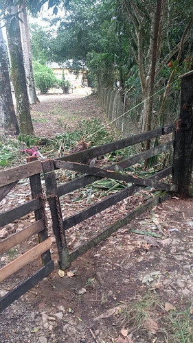 Imagem 6 de 7 de Miracatu/sitio Para Plantio Com Belo Riacho/ref:05350