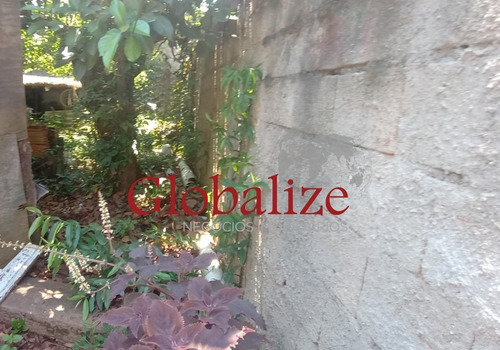 Imagem 9 de 16 de Terreno - Te00005 - 70482597