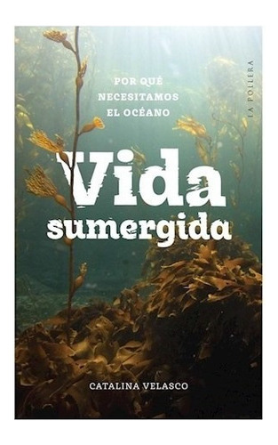 Vida Sumergida Por Que Necesitamos El Oceano - Velasco Cata