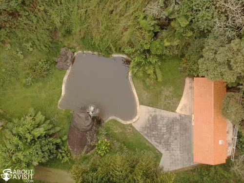 Imagem 12 de 14 de Excelente Fazenda Com 66 Hectares, Aconchego E Beleza