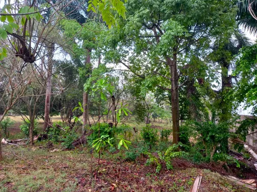 Lote Con Amplias Posibilidades De Desarrollo Cod 18401