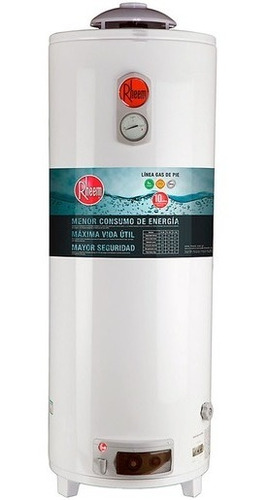 Termotanque Rheem  A Gas 80 Lt  De Colgar Tgnc080rh