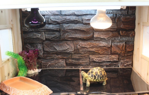 Placa Calefactora 7 W Regulable Erizos Reptiles Pethome
