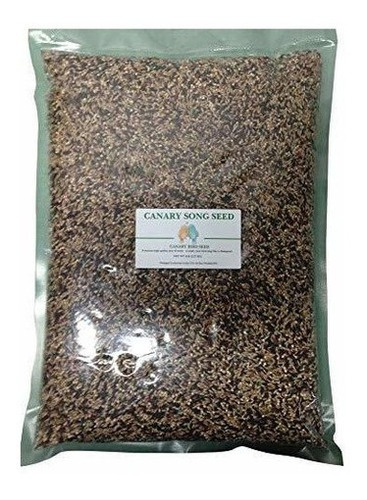 Rex Products, Inc Canary Seed Seed 5lb-mejorar El Canto