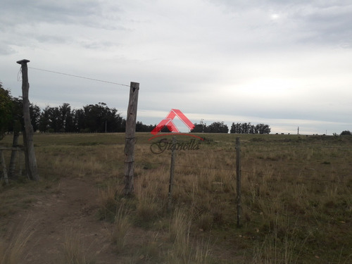 Chacra De 5hás En Venta!- Ref: 1702
