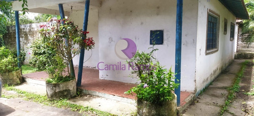 Imagem 6 de 9 de Chácara À Venda, Palmeiras, Suzano/sp. - Ch00068 - 70115832