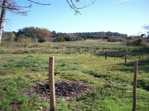 Imagem 10 de 30 de Sítio Rural À Venda, Lami, Porto Alegre. - Si0006