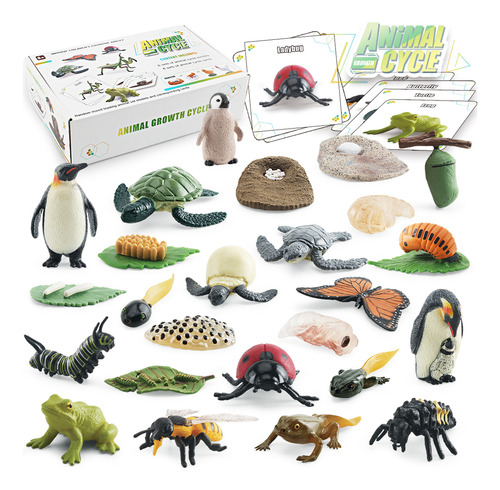 Kit Científico Montessori Modelo Chicken Penguin, Ideal Para