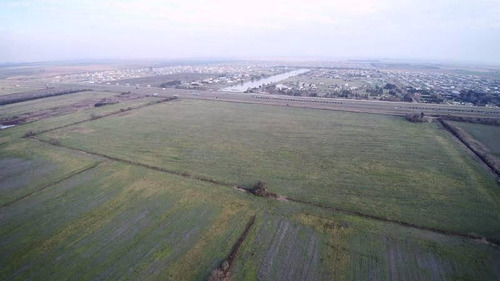 Imagen 2 de 7 de Excepcional Parcela De Campo De 16 Has. A La Venta Ubicada Sobre Autopista Rosario - Córdoba ( A La Altura De Roldán) - Pcia De Santa Fe