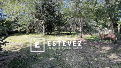 Oportunidad. Gran Lote En Venta De 1000m2. Area 3, Barrio San Matias, Escobar