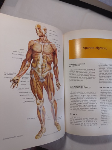 Enciclopedia Del Estudiante Cuerpo Humano (Usado)