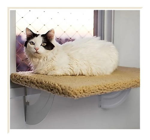 Cama Para Gato Space Cat Para Janela Gatton Fixa No Trilho  