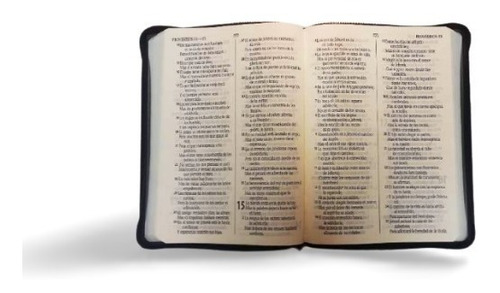 Imagen 4 de 8 de Biblia Reina Valera 1960 Letra Gigante Cierre Pjr Conc Negro