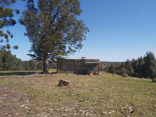Imagen 5 de 20 de Venta Chacra En Jose Ignacio, Camino Arcos Del Sol 54 Has - Jose Ignacio José Ignacio