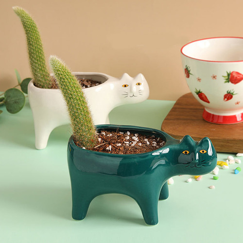 (w)for Cat Flowerpot Succulent Planter With Drainage Ceramic