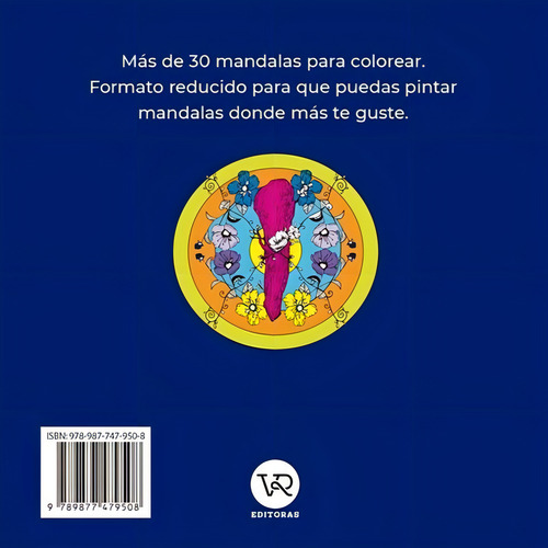Mandalas De Bolsillo 17 Puntillado Rv 2, De Ani Testone. Serie Debolsillo, Vol. 17. Editorial Vr Editoras, Tapa Blanda, Edición 1a. En Español, 2023