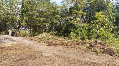 Imagem 9 de 16 de Ótima Área Para Sítio Com 27.500 M² De Área Total, Com Riacho, Construção Para Terminar, No Balneário Gaivota, Em Itanhaém Ref: 4690/ac